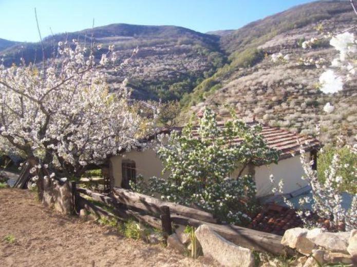 Casas Rurales El Cerro Y El Cerezo Наваконсехо Экстерьер фото